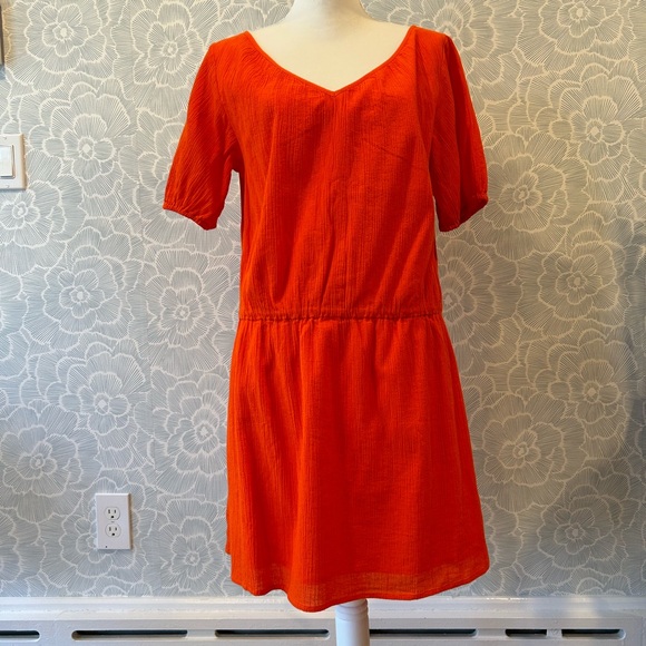 JCrew Factory Orange Drop Waist Dress - Picture 4 of 8